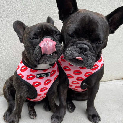 Lovely Lips Dog Harness