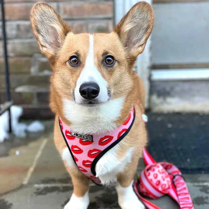 Lovely Lips Dog Harness