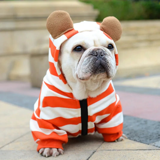 Cute Frenchie striped snuggie