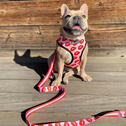 Lovely Lips Dog Harness